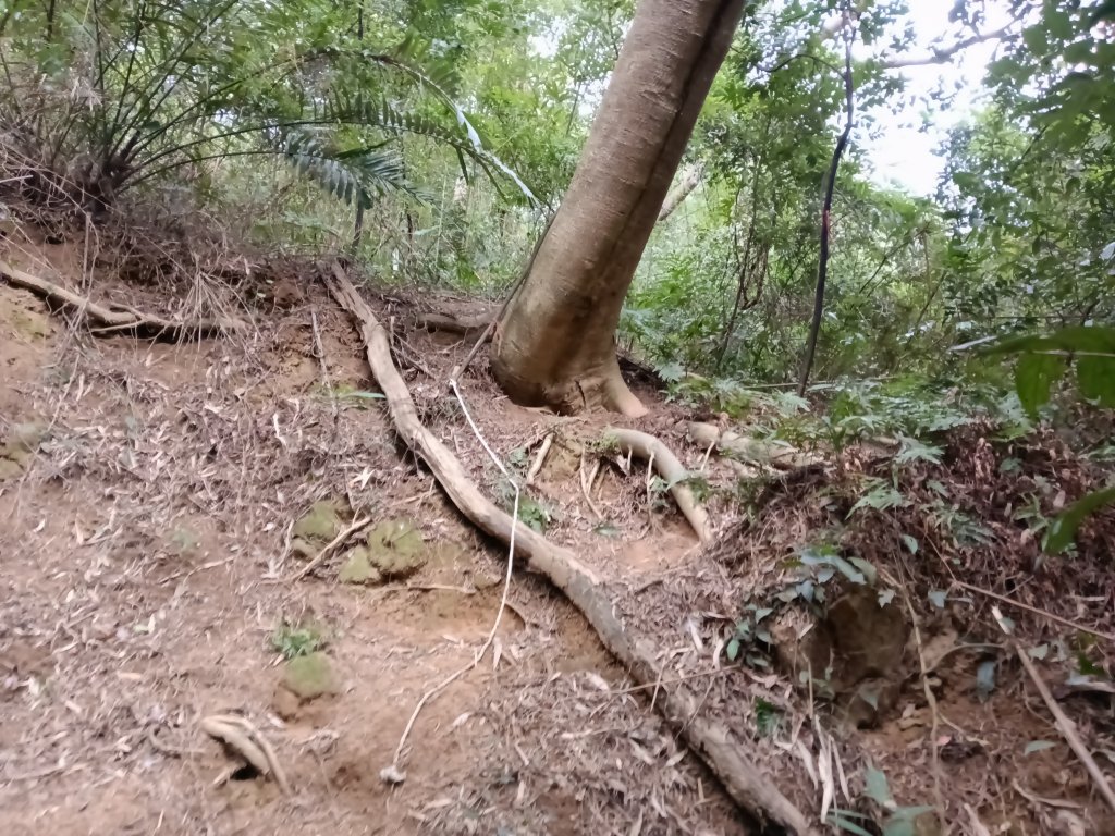 寶山鄉寶山水庫(寶山東峰+中峰+中西峰+西峰+西北峰)+尖山O型_3012563