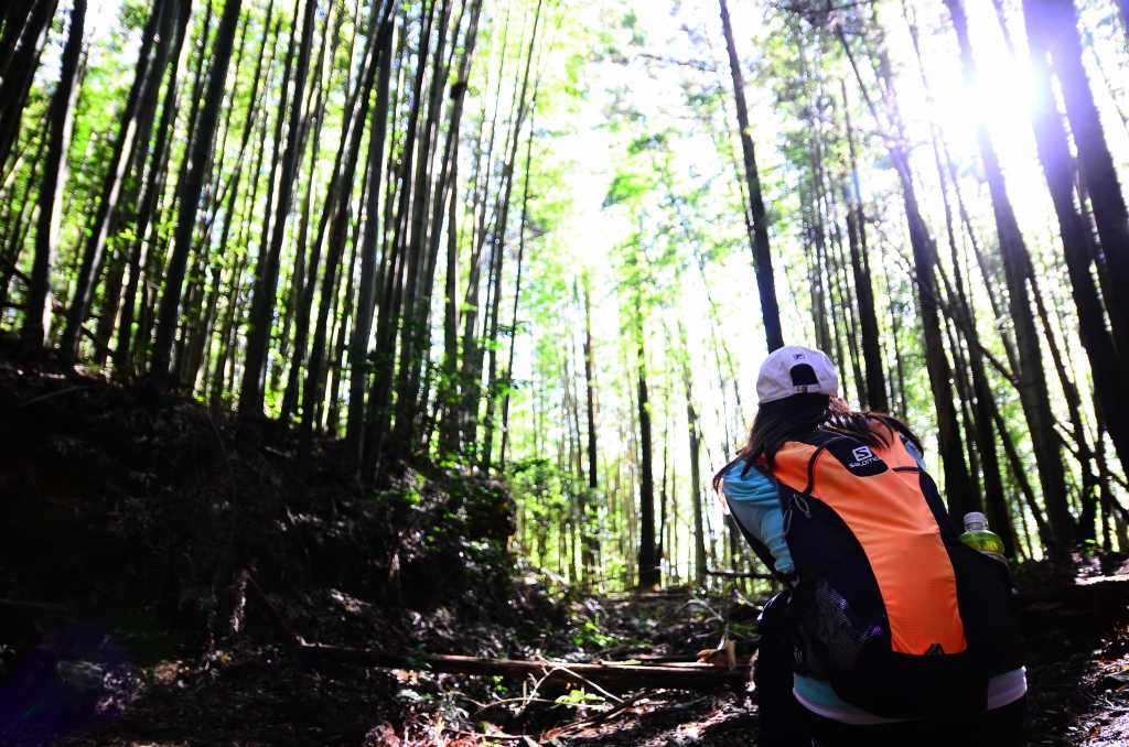 鳶嘴西稜登鳶嘴山_26614