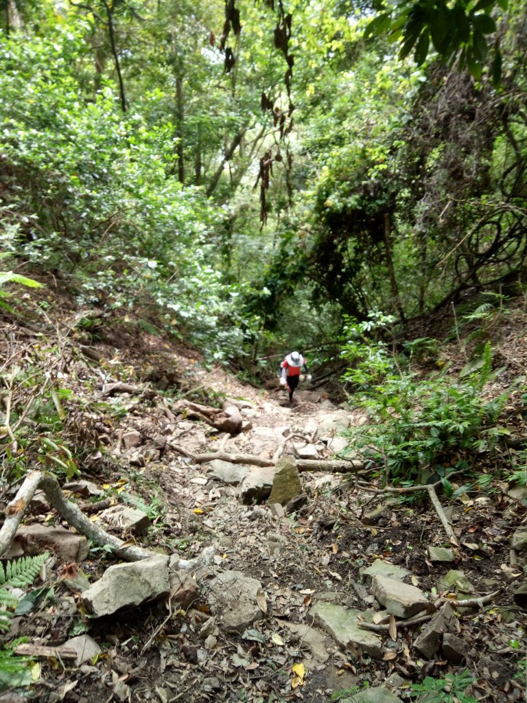 泰安水雲三星之首---虎山_1902797