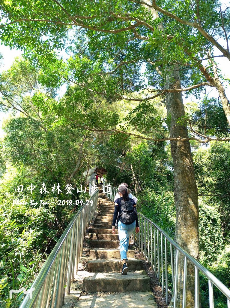 田中森林公園登山步道20180929_455528
