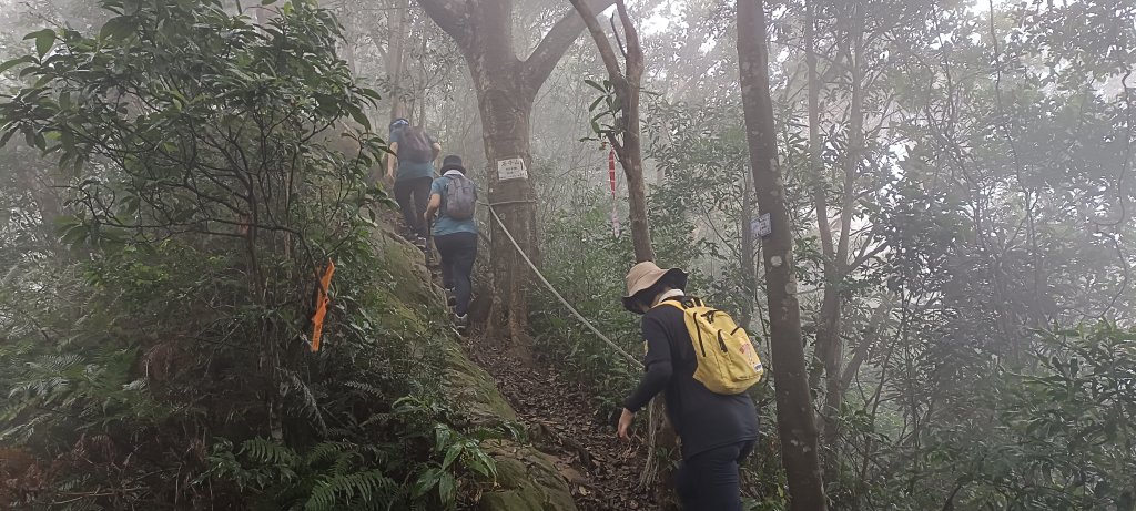 20241116_石牛山步道_2649529