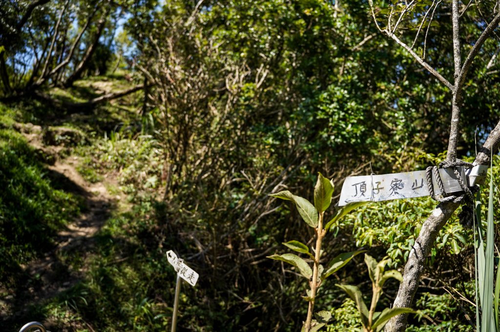 五分山｜小百岳_2915435
