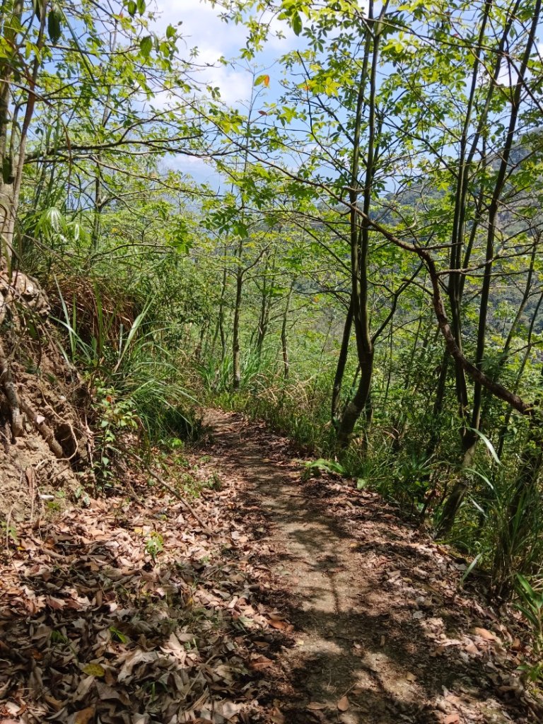 240402一日南投四顆小百岳（大橫屏山+九份二山+貓囒山+後尖山）_2470448