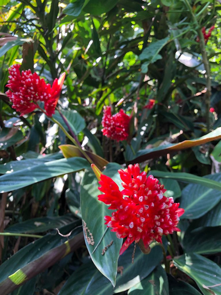 20220424小百岳南港山_2115815