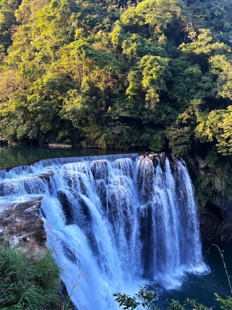 愛在秋芒紛飛時...五分山_2353807