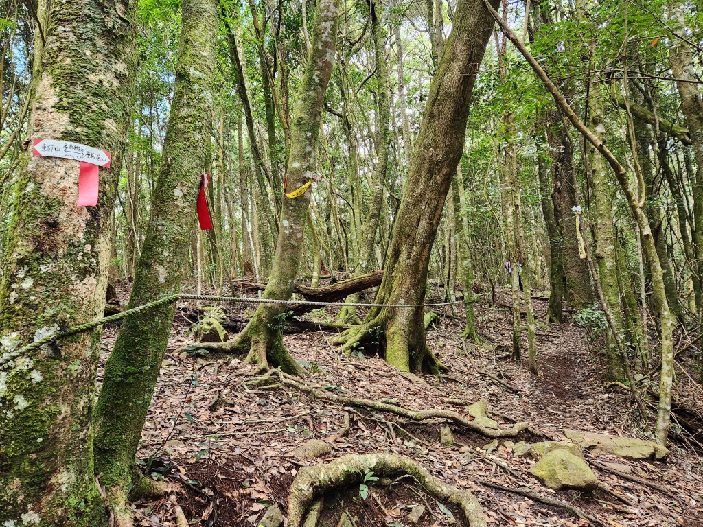 20230924 谷關雙雄，屋東縱走（屋我尾山，東卯山）封面圖