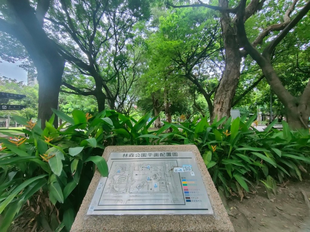 ［健康大穀東，台北趴趴走］（12~14）：榮星、林森、花博公園_2238735