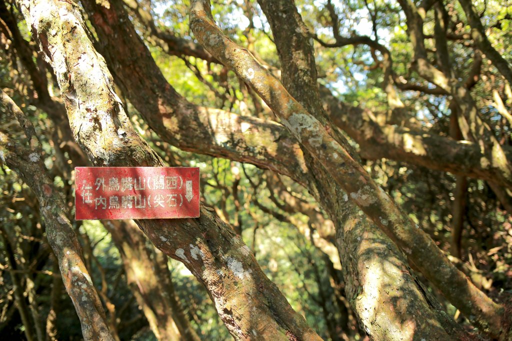 尖石鄉：那結山、貴妃山_1080945