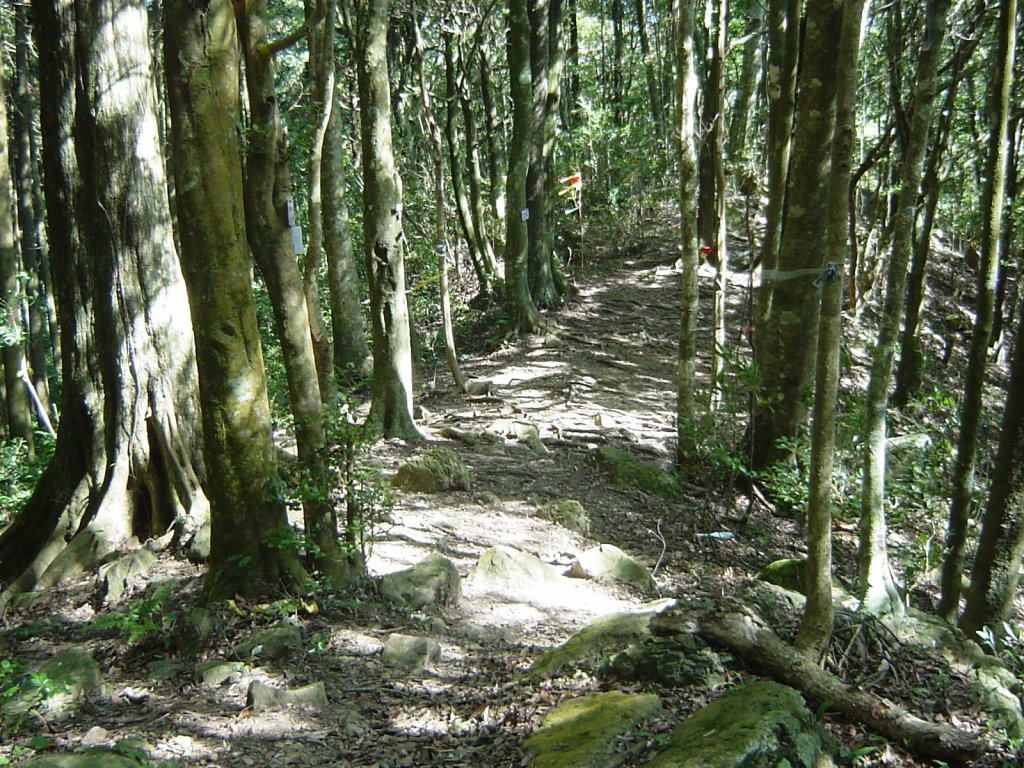 關西_外鳥嘴山20090908_1958059