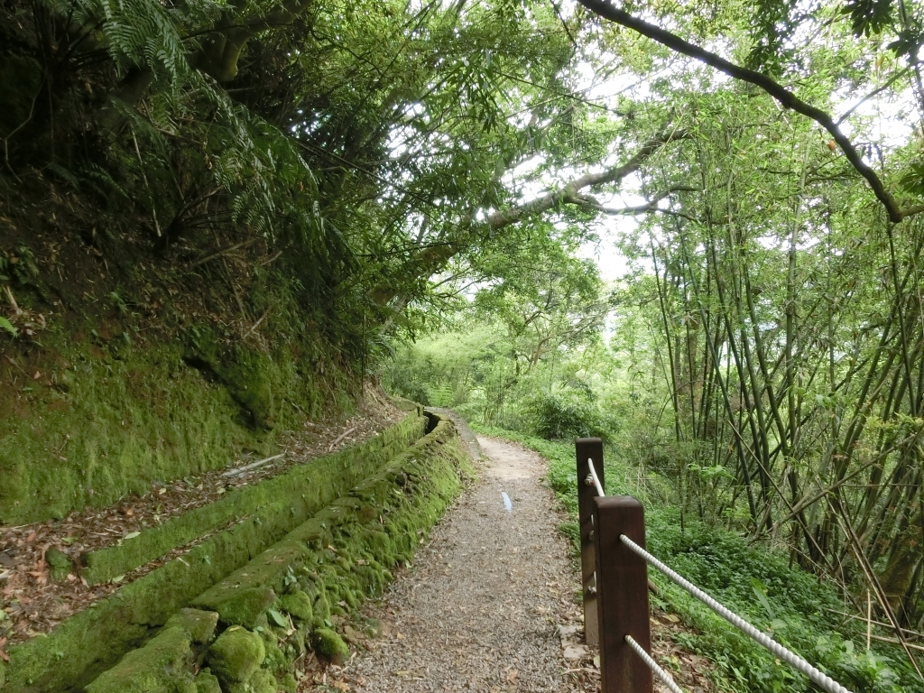 絹絲瀑布．擎天崗_93986