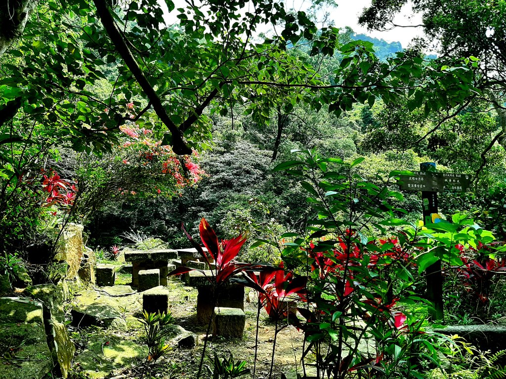 臺北大縱走4｜大湖公園捷運站至風櫃嘴_2472276