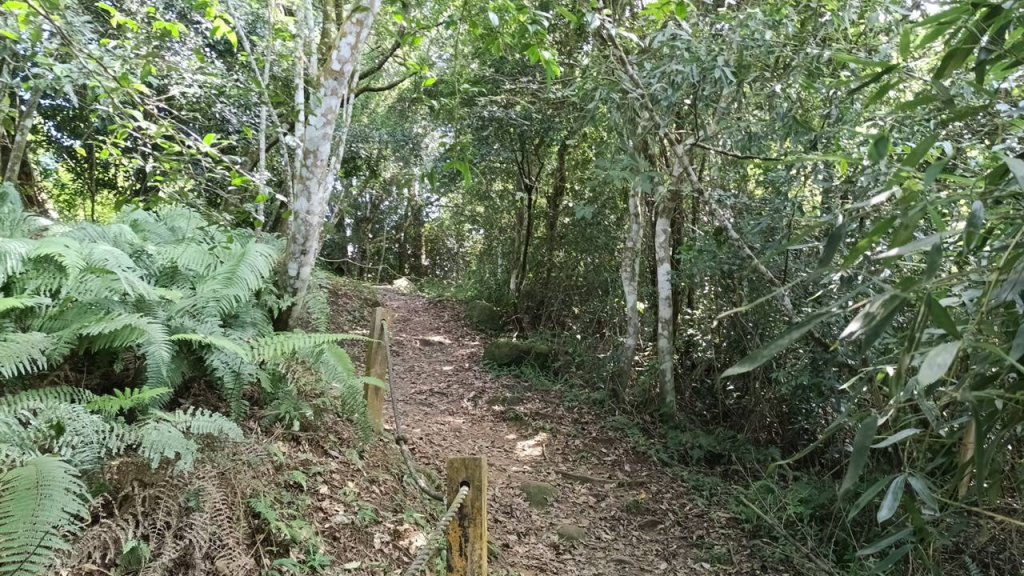 20251004 馬那邦山 - 珠湖 登山口_2904922