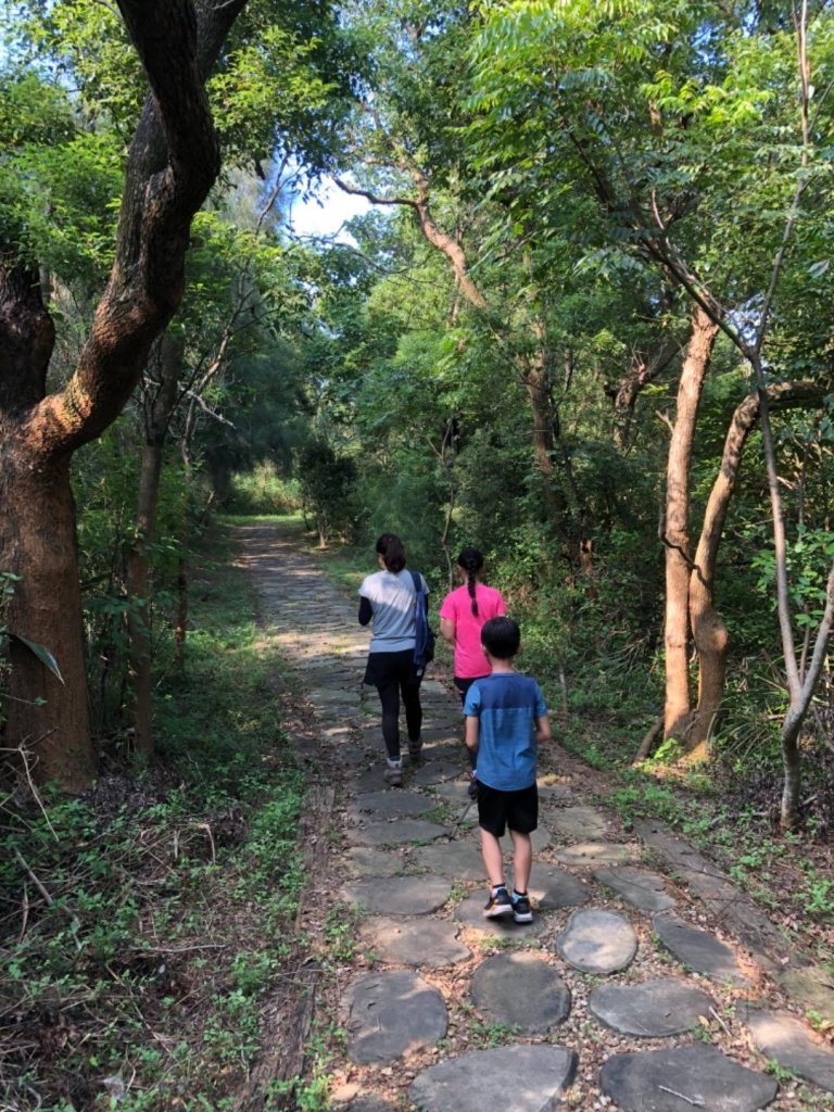 2019.08.31 鄭漢步道封面圖