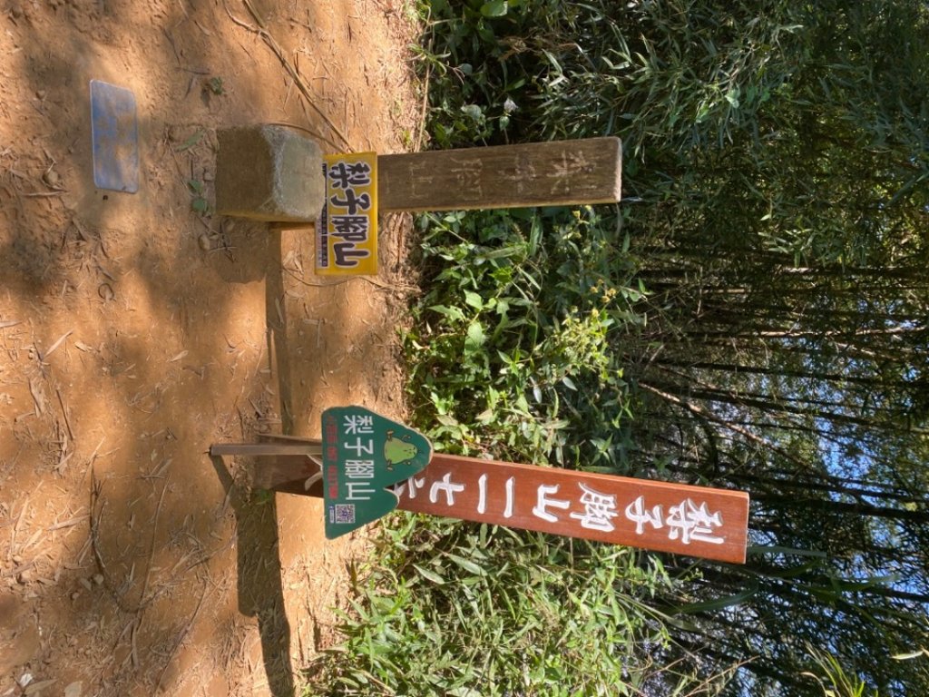 嘉義梅山-梨子腳山-小百岳057封面圖