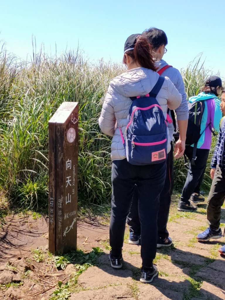 大屯山泥巴滑溜溜_914405