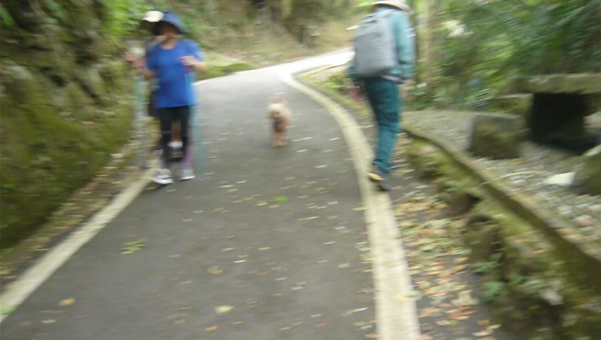 跟著寶寶漫遊參山小百岳六寮古道l獅山古道_1124884