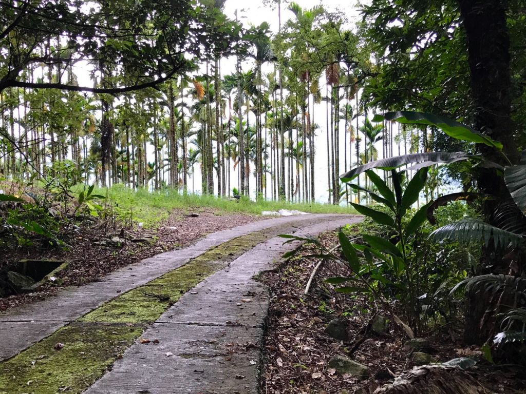 西邊飄雨東邊晴 花蓮鯉魚山_391347