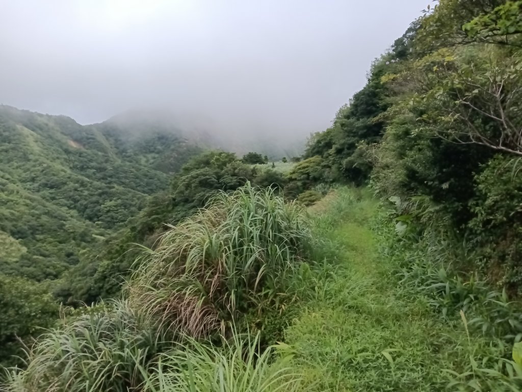 瑞芳區找尋半屏大瀑布未果_2880942