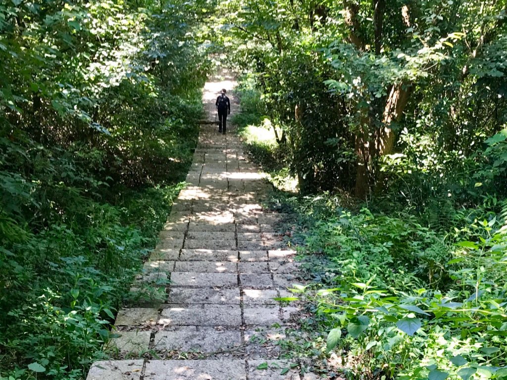 三員縱走下銅鑼_633496