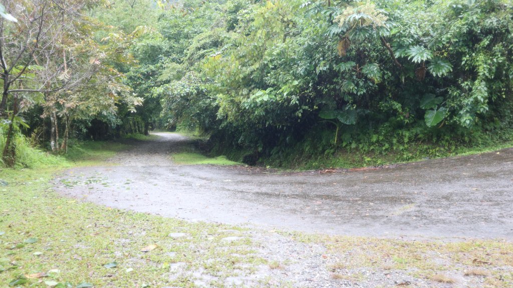 佐倉步道登山健行趣(步道)_2018390