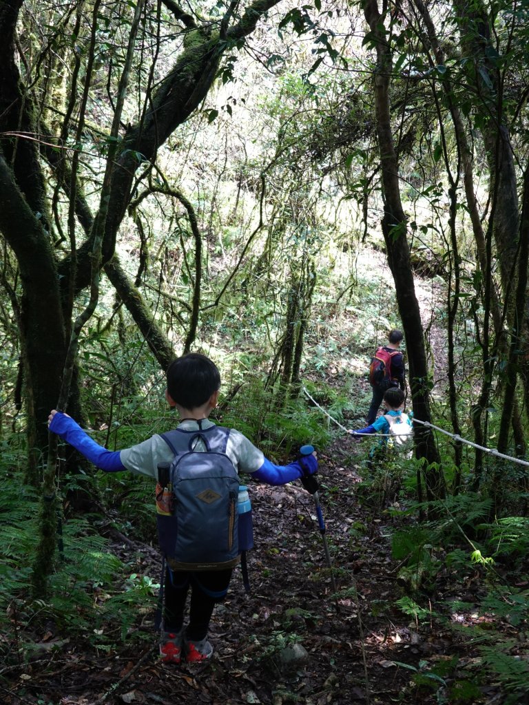 阿興阿賢李棟山泰平山_1313144