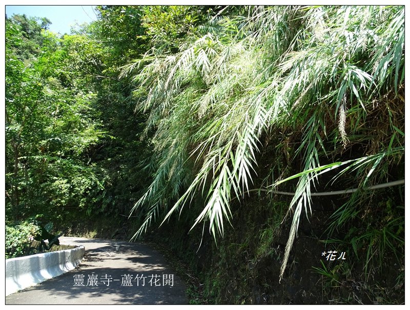 平溪/嶺腳寮山步道_656839