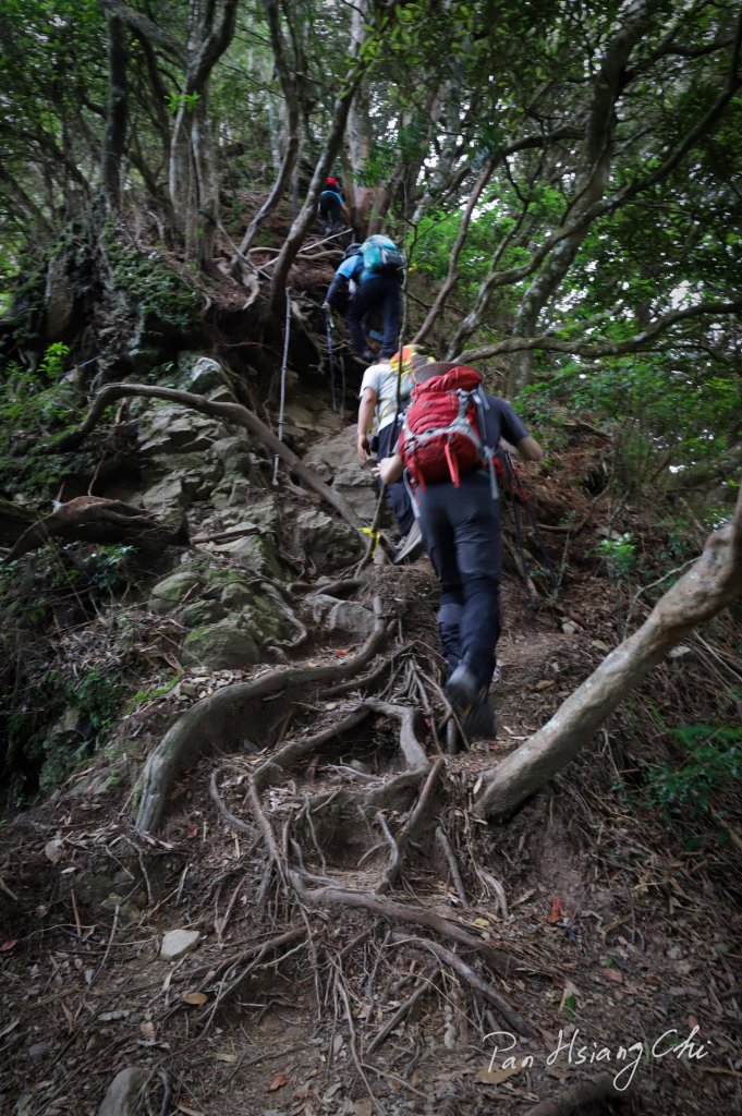 大暑日之高島P型縱走_1774771