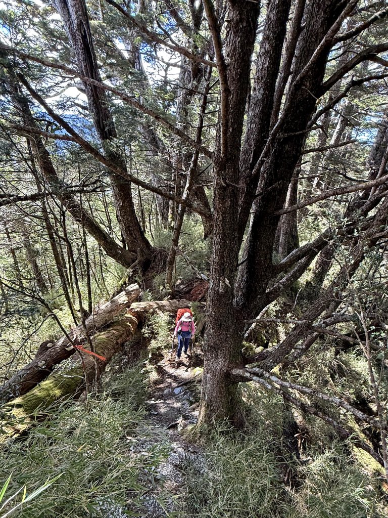 觀雲山莊經小完美谷上畢祿山O繞_2917204