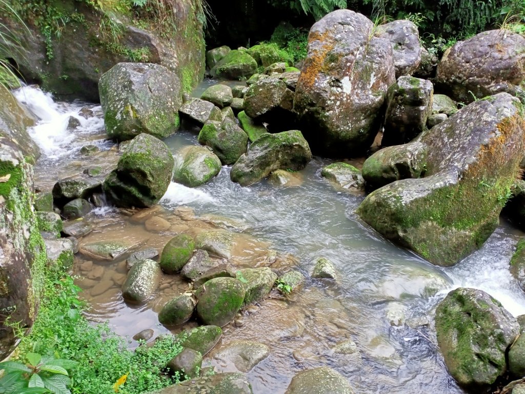 【臺北大縱走7】指南宮步道→茶展中心步道_1170896