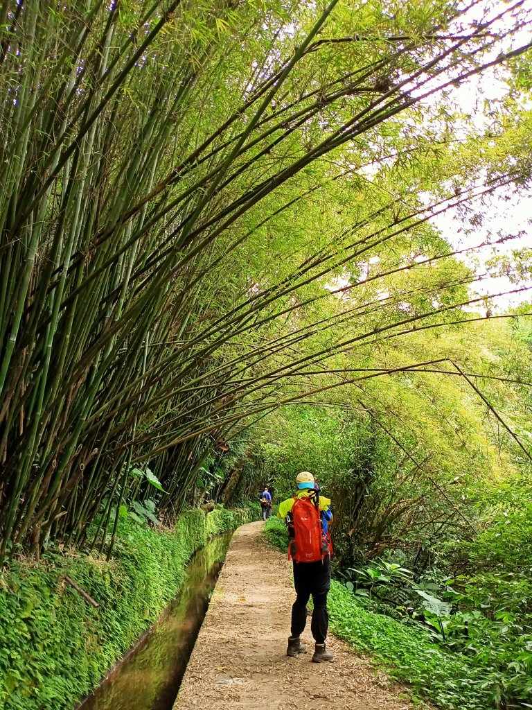 百花爭妍的狗殷勤古道_1355335