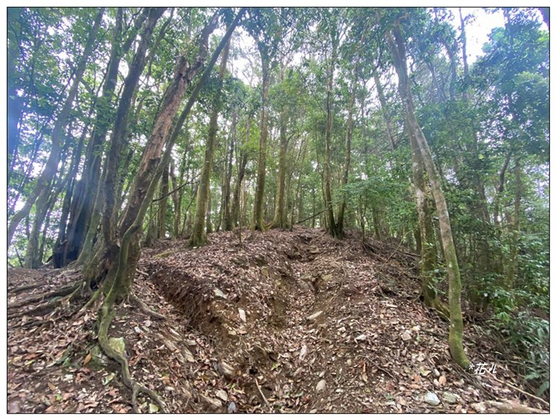 巴蜈縱走 (27.6K一日長征)_2780352