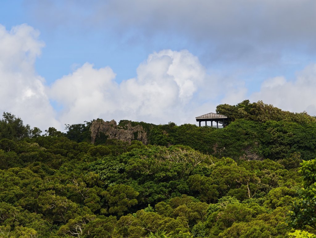 [百山百鳥尋旅-02/15] 2025_0809 社頂自然公園步道_2856998