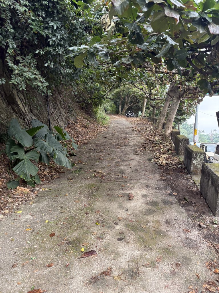 20251227尾寮山登山步道_2970481