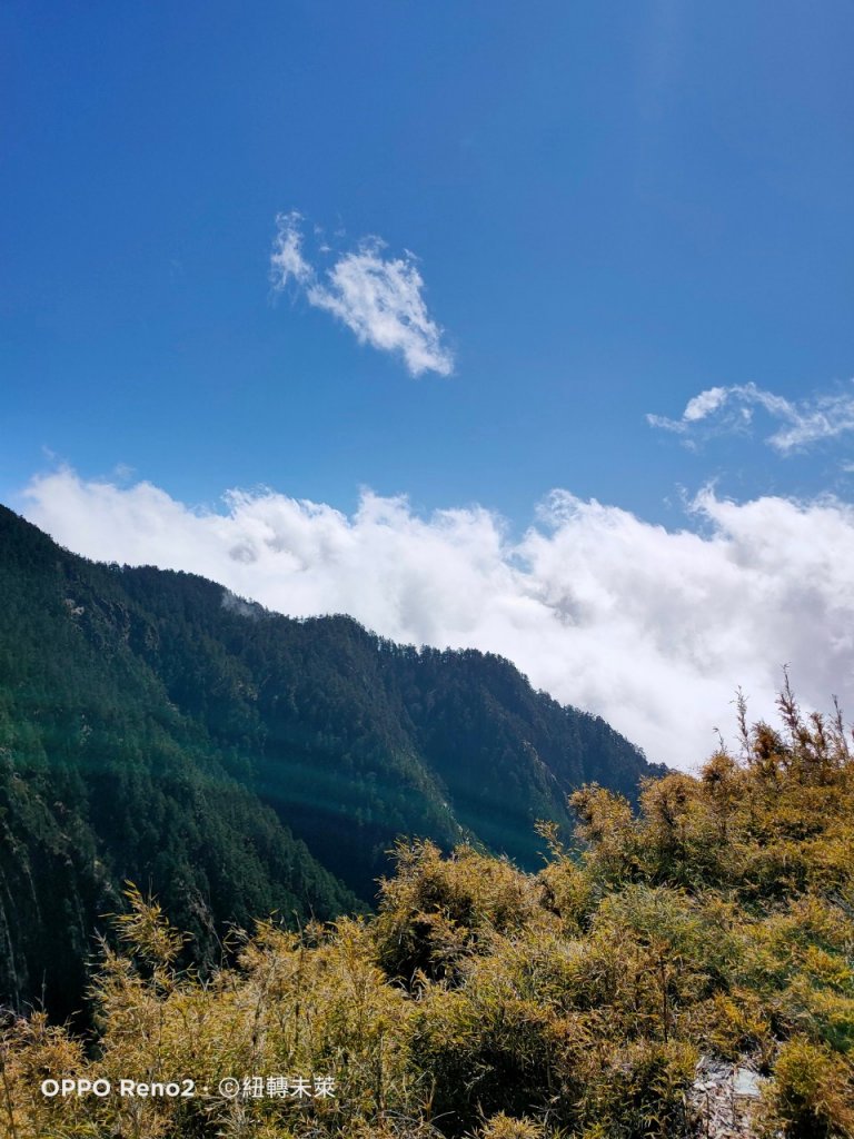 初訪玉山西峰_915420