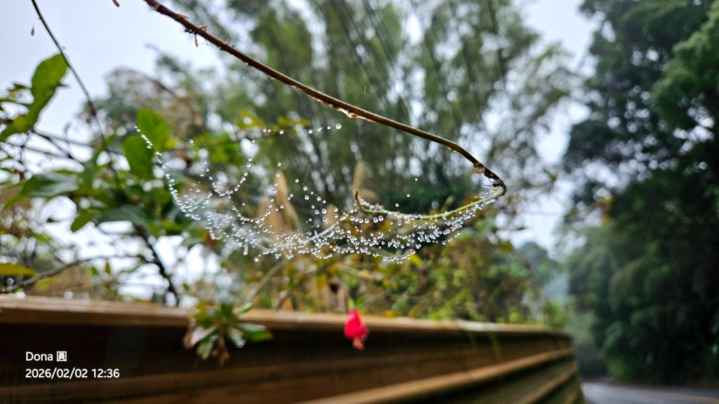 20260202徒步明德水庫大環湖_2992511