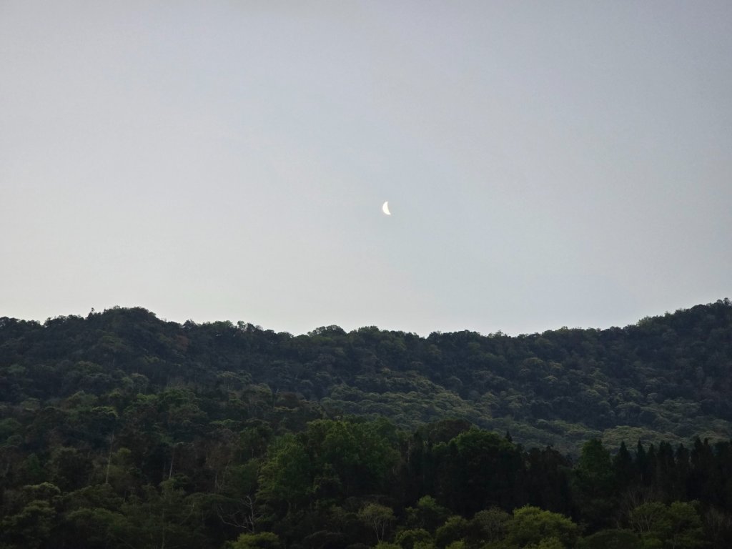 卓社大山〔武界栗栖溪登山口起登〕_2748366