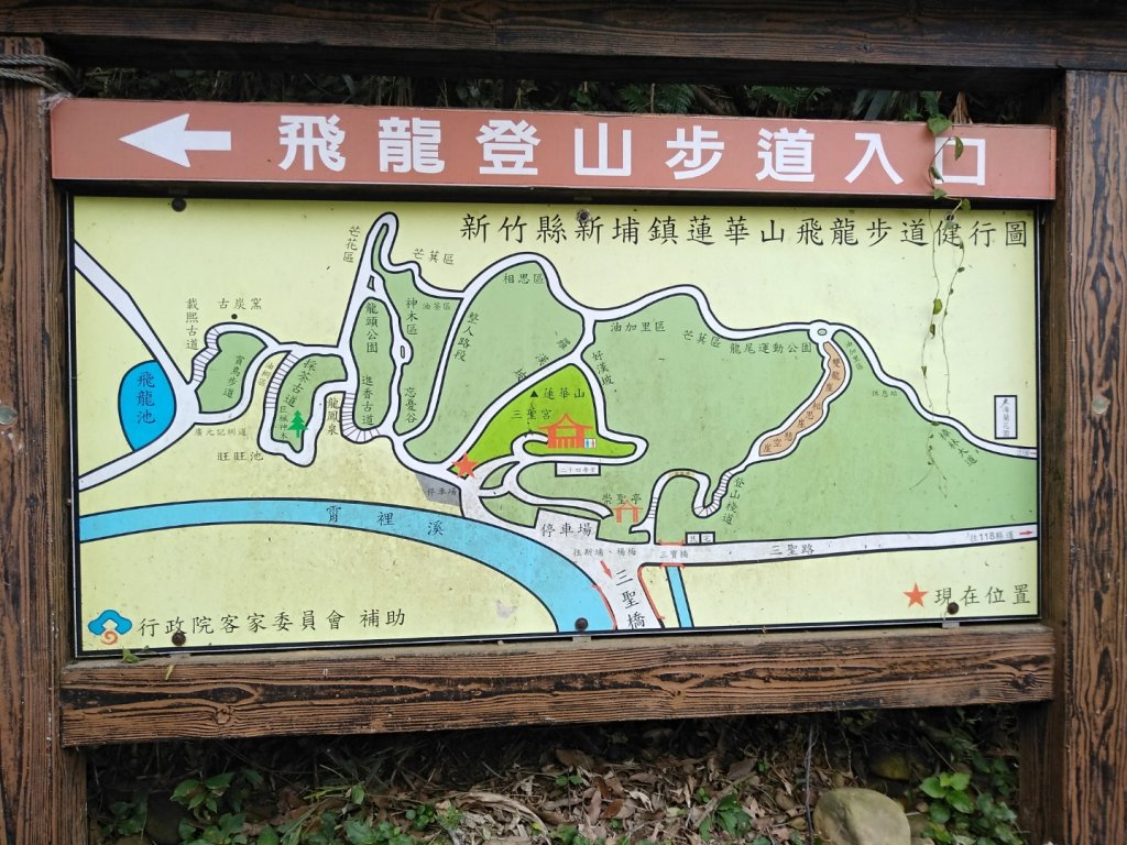 蓮華山步道上蕨類地毯封面圖