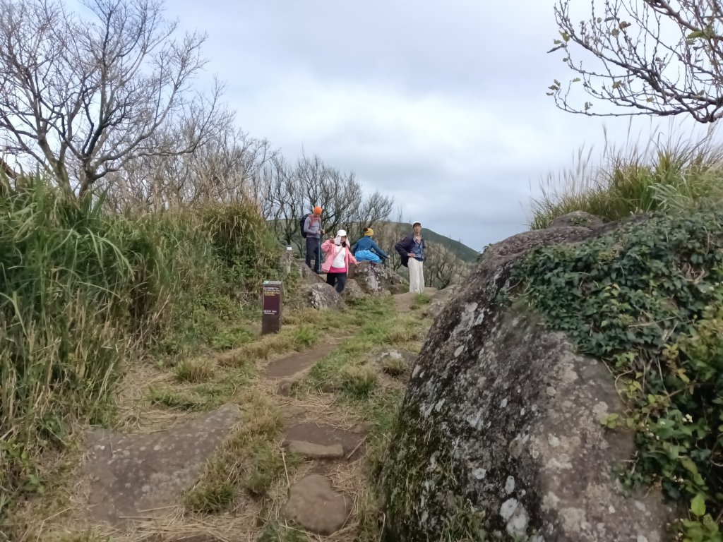北投區大屯山西南南峰+西南峰+大屯山西峰+太子碑+清天宮步道O型封面圖