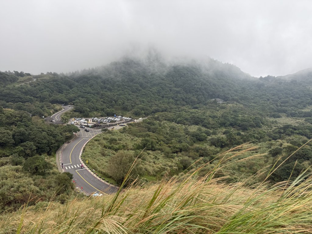 七星山 冷水坑上小油坑下環七星山人車分道O繞 20251108_2934880