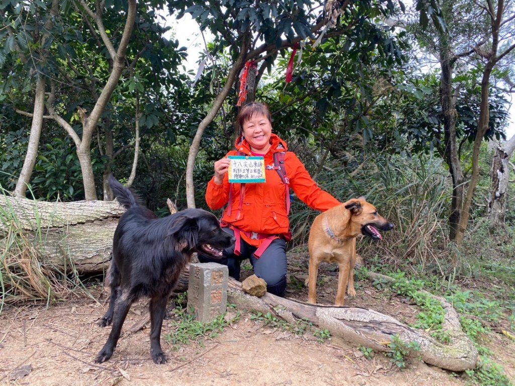 新竹十八尖山步道群_2106602