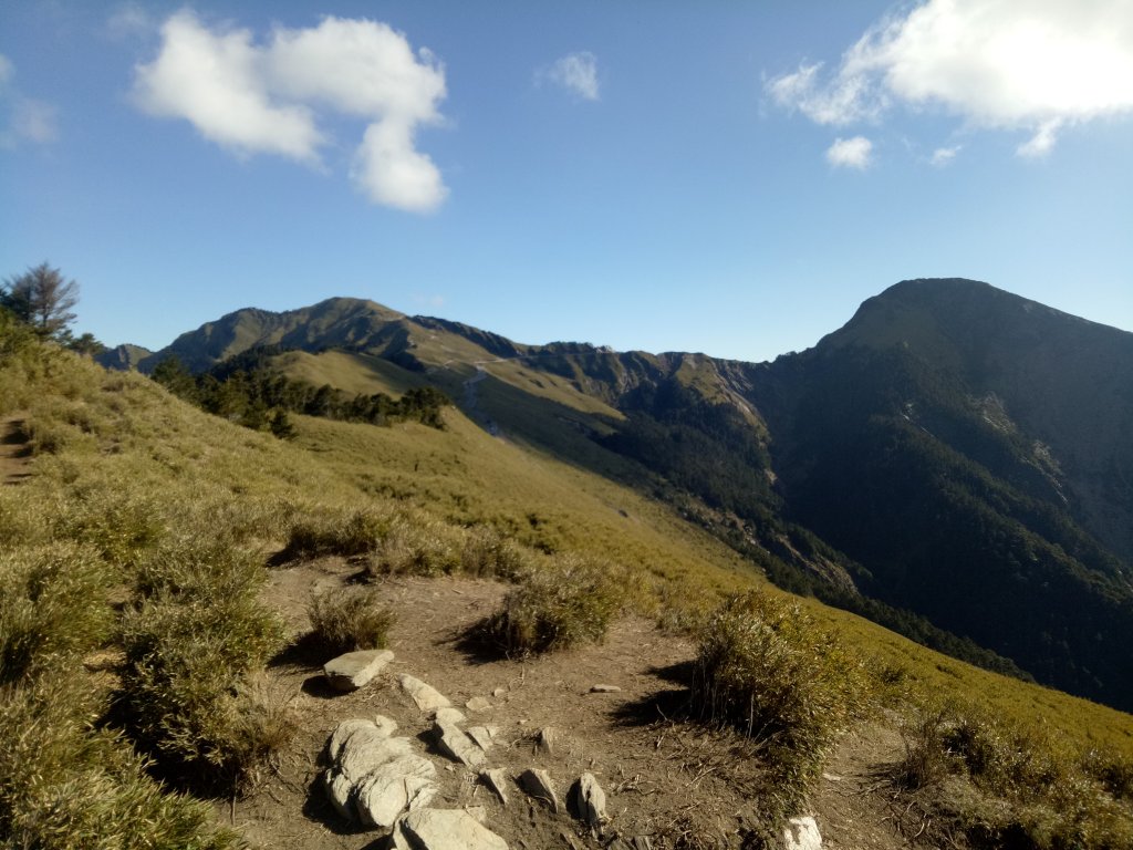 合歡山主峰合歡山南峰賞玉山杜鵑_1858525