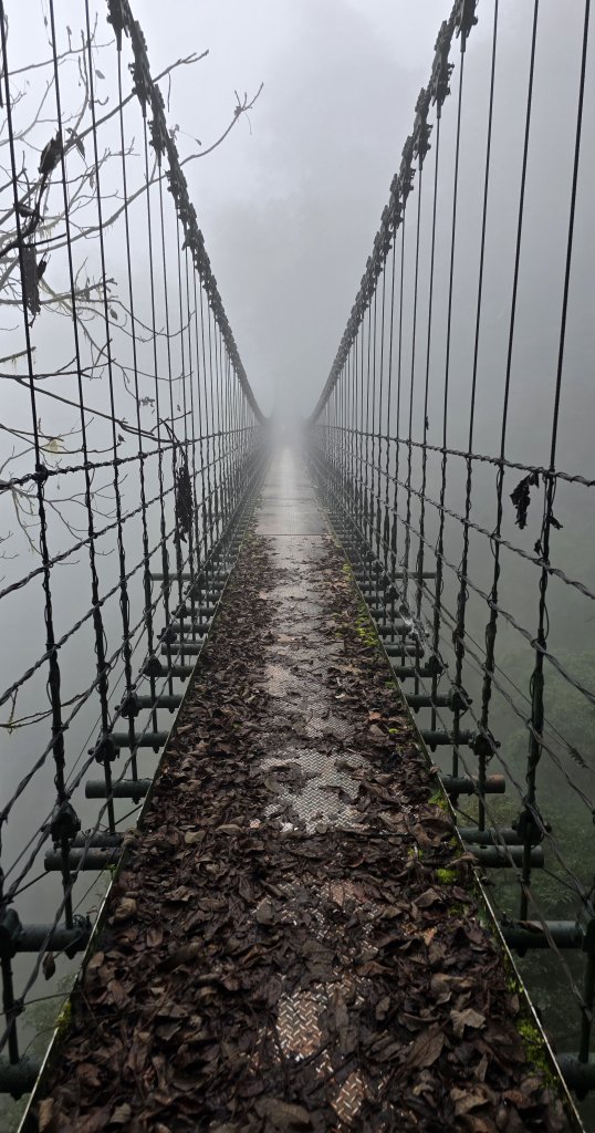 20251211-1216 新康橫斷+嘉明湖_2965531