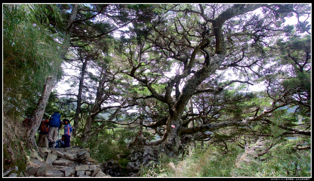 回憶【玉山主峰】_552630