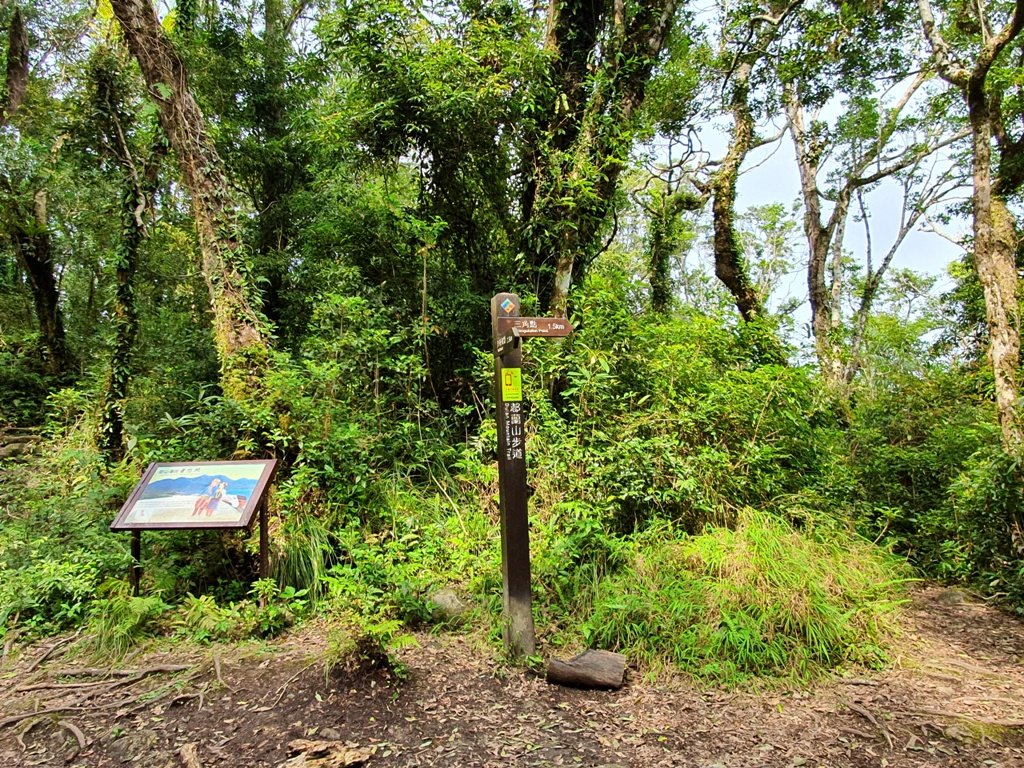 1090313台東聖山~都蘭山_881078