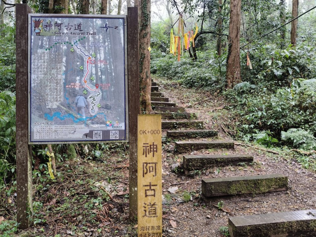 神阿縱走~台灣難抵極~大塔山_2971389