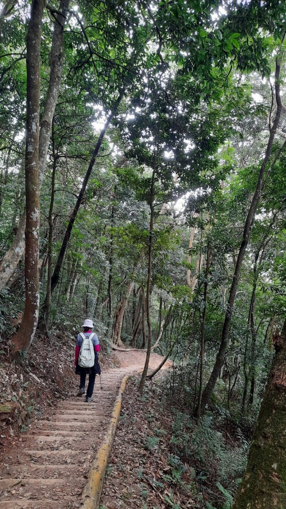 《苗栗》馬那邦山｜ 上湖線＞天然湖O巡20210220_1277400