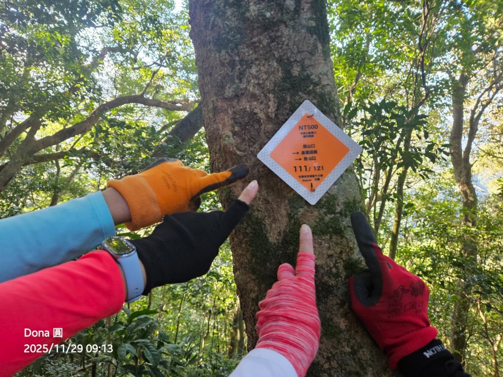 20251129逆走逐鹿卡保環型路線全段全紀錄_2949843