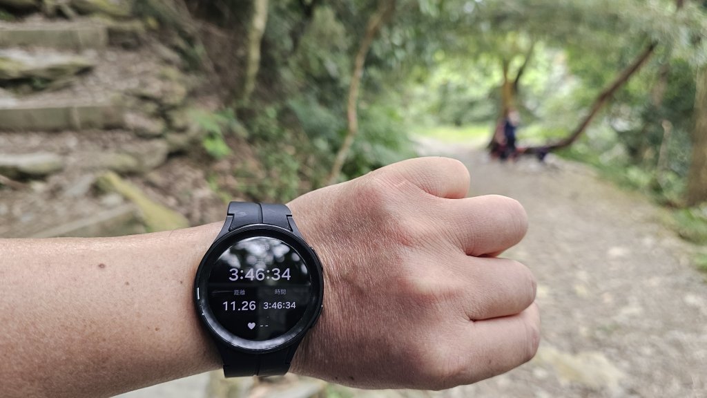 【錯過昨天的約定，今天用腳步致歉】⛰️尾寮山的魔王氣場依舊強大_2952109