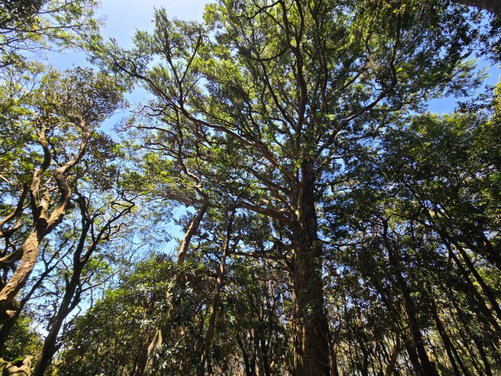 哈堪尼山封面圖