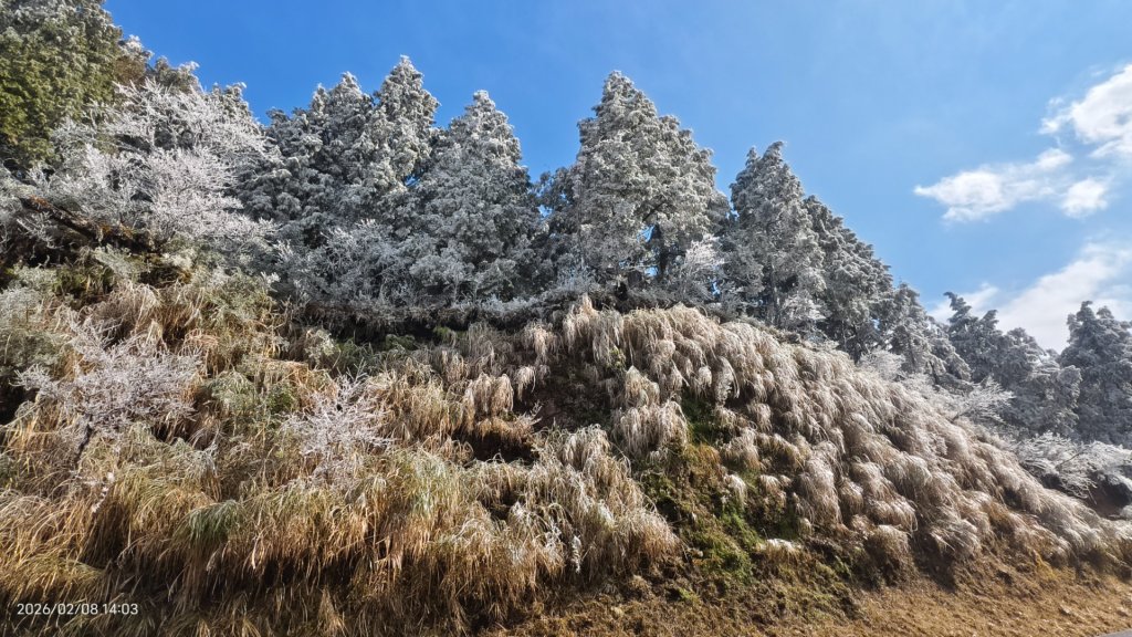 #霧淞 #雲海 #雲瀑 #霧虹 #太平山 #望洋山 #觀雲步道 #翠峰道路  2/8_2995237